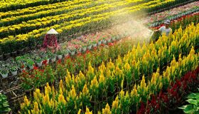 Immerse in Vietnam’s natural heritage with visa-smart planning